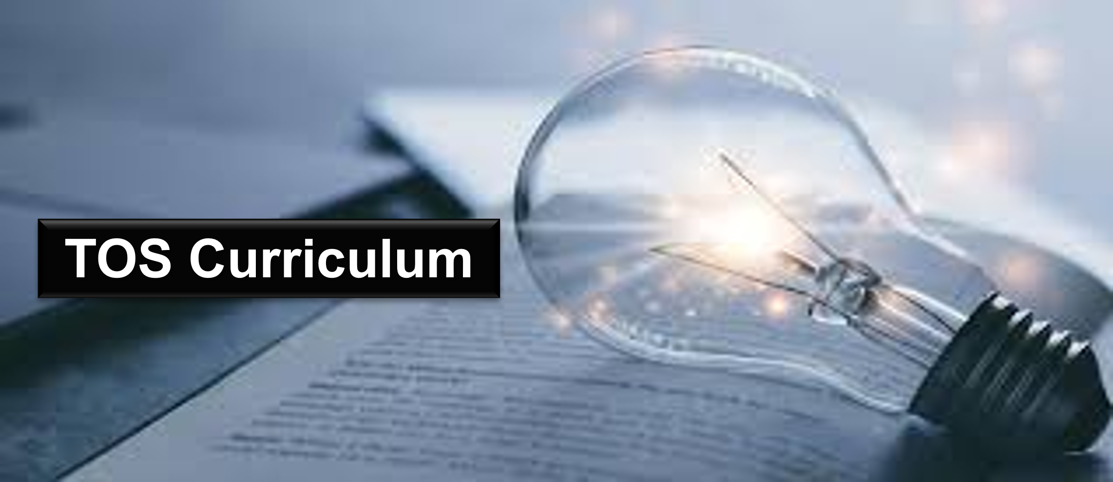Curriculum